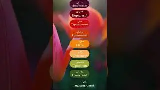 Цвета о которых вы не знали в арабском языке 