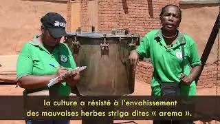 Etuvage riz GEM