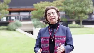 "La observación del desarrollo infantil. Orientaciones para educadores"