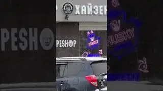 ✅Вот так кот