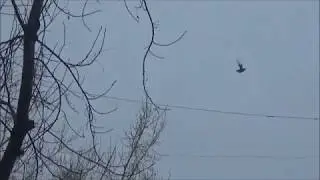Мой фильм  ИГРА  В СТОЛБ