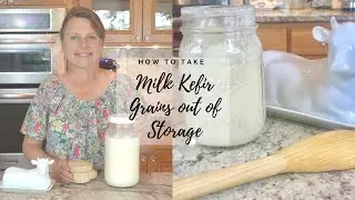 How to take milk kefir grains out of storage after taking a break