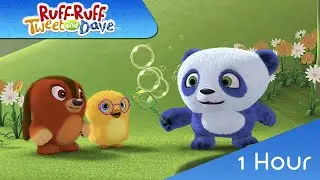 🐶🐼🐤 RUFF-RUFF, TWEET AND DAVE 1 Hour | 43-48 | VIDEOS and CARTOONS FOR KIDS