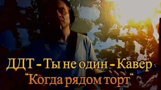 ДДТ - Ты не один - Кавер - 