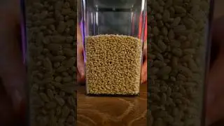 Мой любимый суп