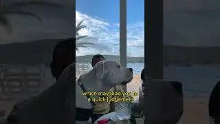 Frankie has inspired not only me and those close to me but also many others with this video. 🦷🐶🫶