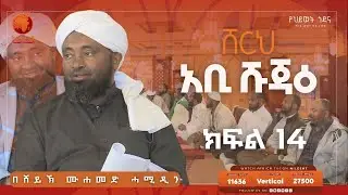 ሸርህ አቢ ሹጃዕ || ክፍል 14 || ሸይኽ ሙሐመድ ሓሚዲን || አፍሪካ ቲቪ #ፊቂህ