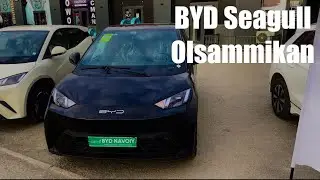BYD Seagull. Olsammikan. #BYD. #Seagull.