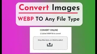 Convert Webp Images To Any File Type | Multiple Converts Or Without Pay...