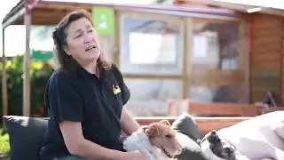 ¿Cada cuanto es aconsejable bañar a mi perro?