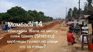 Момбаса 14 Кения. Христиани звали на мессу, пляж Шанзу Shanzu верблюды гуляют по улице что за птицы?