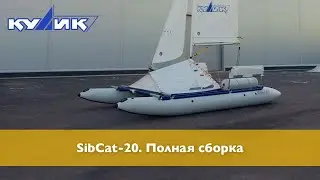 SibCat-20. Full assembly
