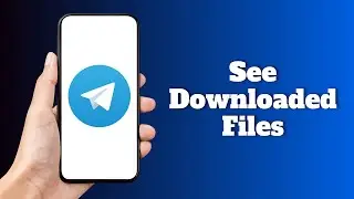 How to See Downloaded Files in Telegram