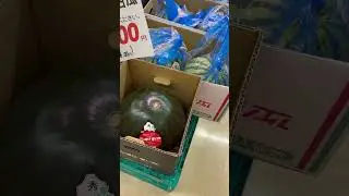 50 dollarlik tarvuz, Yaponiya #agriculture #watermelon #tarvuz