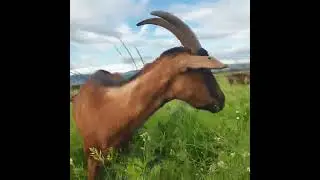 После дождот☝️👌😃❕