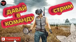 PUBG LITE  ДАВАЙ ПОИГРАЕМ ВМЕСТЕ! PUBG 2.0 / PUBG MOBILE / СТРИМ ПАБГ ЛАЙТ/ PUBG NEW STATE