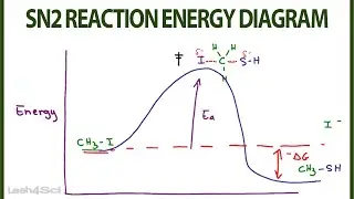 SN2 Reaction Energy Diagram