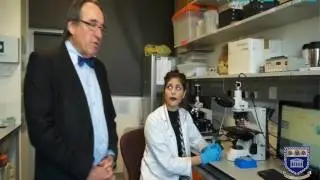 Sperm Cervical Mucus Penetration