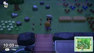 Island Tour with Girlfriend Went Like This | Animal Crossing New Horizons