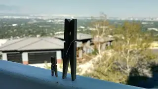small things going on big adventures