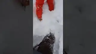 Зима и лыжи