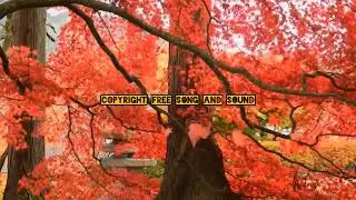 Copyright Free Song || Copyright Free Song For YouTube Videos ||