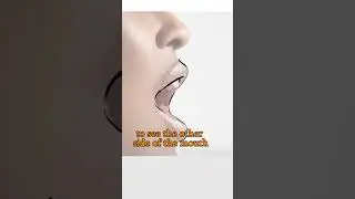 Mistake When Drawing Mouth - Quick Art Tips #art #sketch #shorts #tutorial #drawingtutorial #anime
