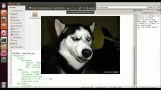 Nmap On Android 5 [Ifconfig and importing netaddr]