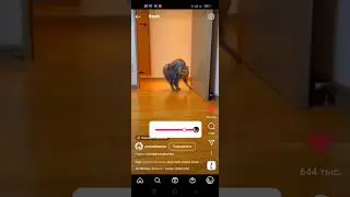 #100