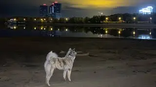 Прибрежная ЗОНА