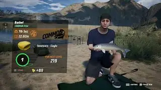 The Catch Carp And Coarse Tips and Tricks | Gameplay Pc Full HD 1080p