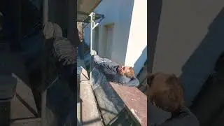 Work in Germany by the hour 