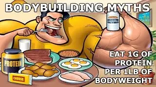 BODYBUILDING MYTHS - EAT ONE GRAM OF PROTEIN PER POUND OF BODYWEIGHT