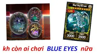 2 like Yugi H5 ~ Bee Mắt Xanh Nhưng Không Có Rồng Trắng / Yugioh / Yugi H5 / K71B