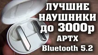 Лучшие беспроводные наушники до 3000 рублей. Обзор беспроводных наушников HAYLOU W1