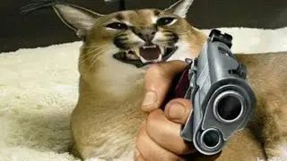 играем в кс онли с другом