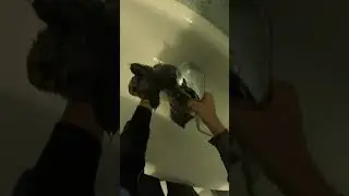 Кот Кузя, мэйкун, у него не было выбора!!!