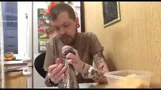 Проверка рецепта из интернета. Салат с крабовыми палочками чесноком и сыром