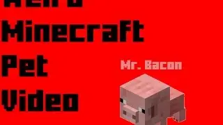 Weird Minecraft Pet Video