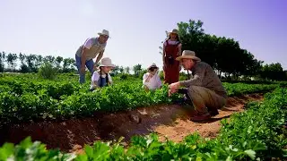 Emirates BIO FARM