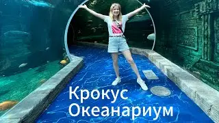 Океанариум Крокус