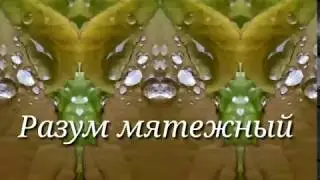 Стихи о жизни РАЗУМ МЯТЕЖНЫЙ #стихи#слушать#поэзия