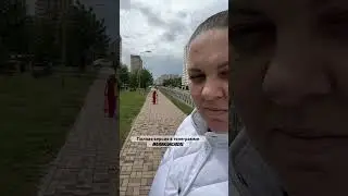 15 мая 2024 г.