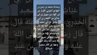 فضل الصوم في سبيل الله #حديث_شريف #الانسان