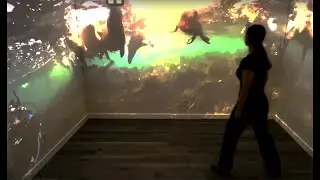 VizMove PRISM Virtual Simulation Room - Nature Scene Demo