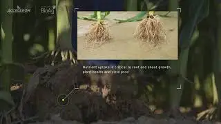 Did you know? Yield successes and failures start at the root.