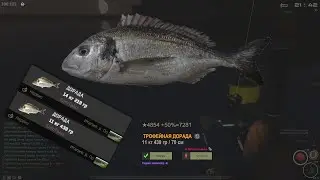 Fisher Online : Италия. И снова дорада.