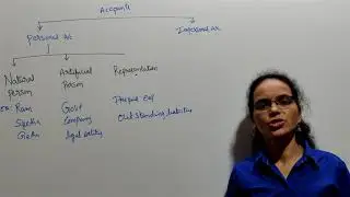 Golden Rules for writing the Journal Entries