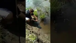 Отпускаем сомика жить дальше