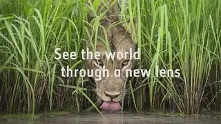 Wildlife Photographer of the Year